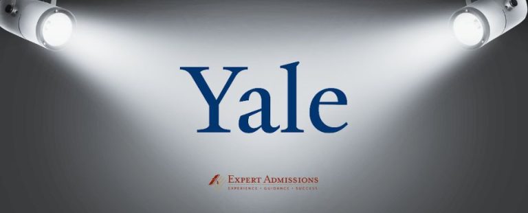 How To Succeed At Yale University? Expert Advice