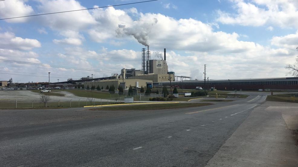 Jobs In Macon Ga